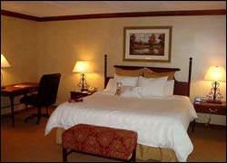 Great Smokies Resort 