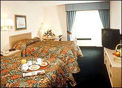 Quality Hotel - Historic District - Fort Myers
