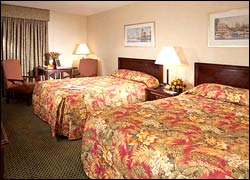Comfort Inn Hynnis 