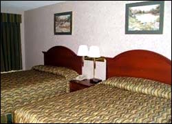 Comfort Inn West, Rochester 